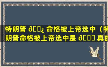 特朗普 🌿 命格被上帝选中（特朗普命格被上帝选中是 🍀 真的吗）